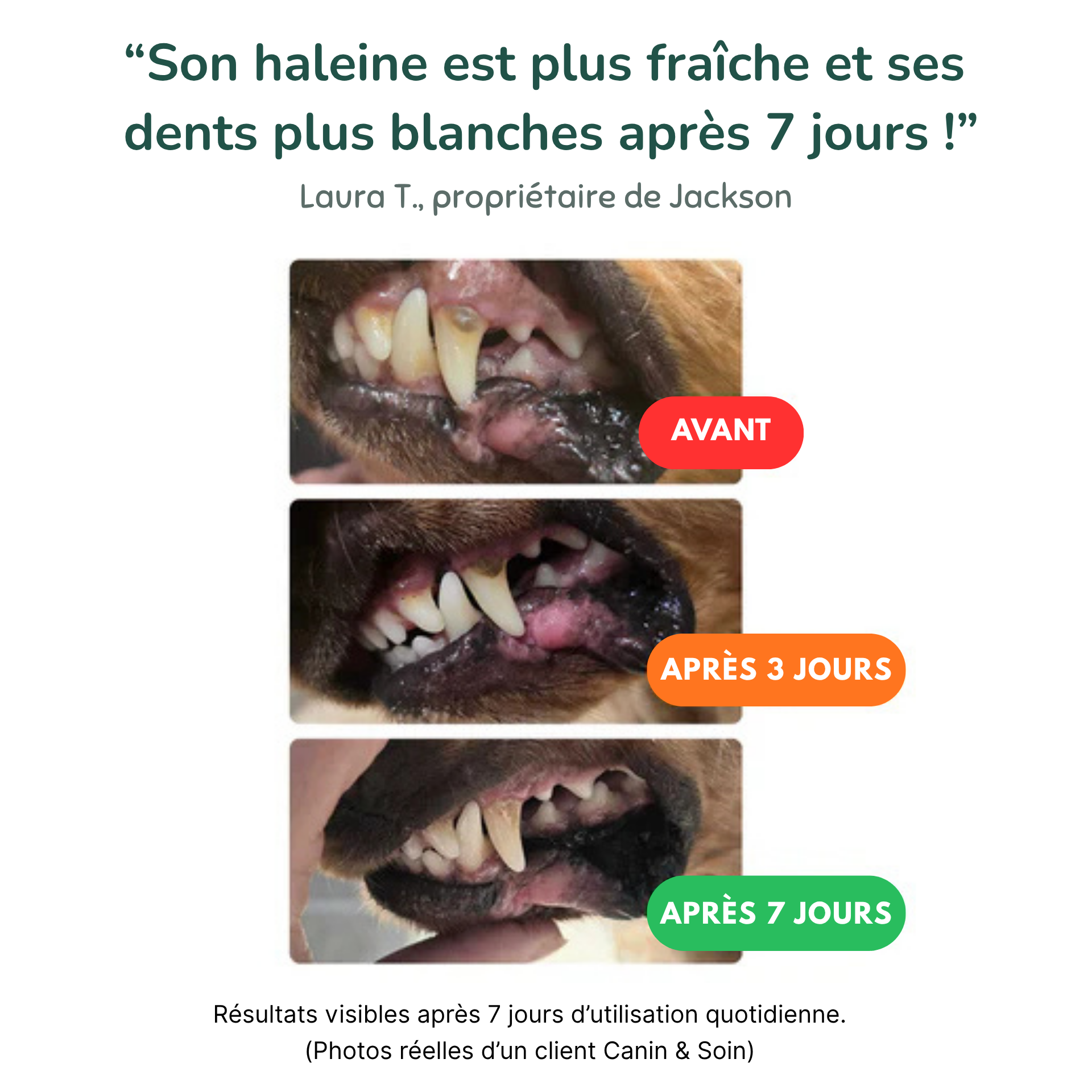 Dental Bright | 100 % naturel | 60 doses | 90 g