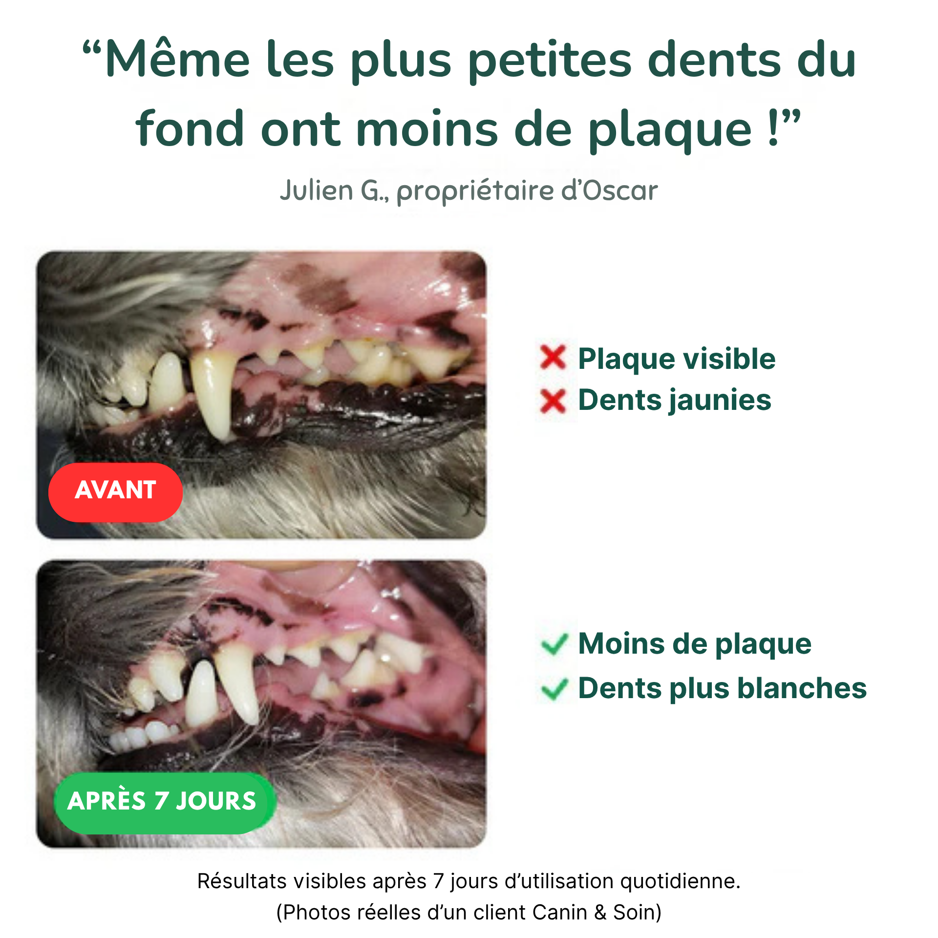 Dental Bright | 100 % naturel | 60 doses | 90 g