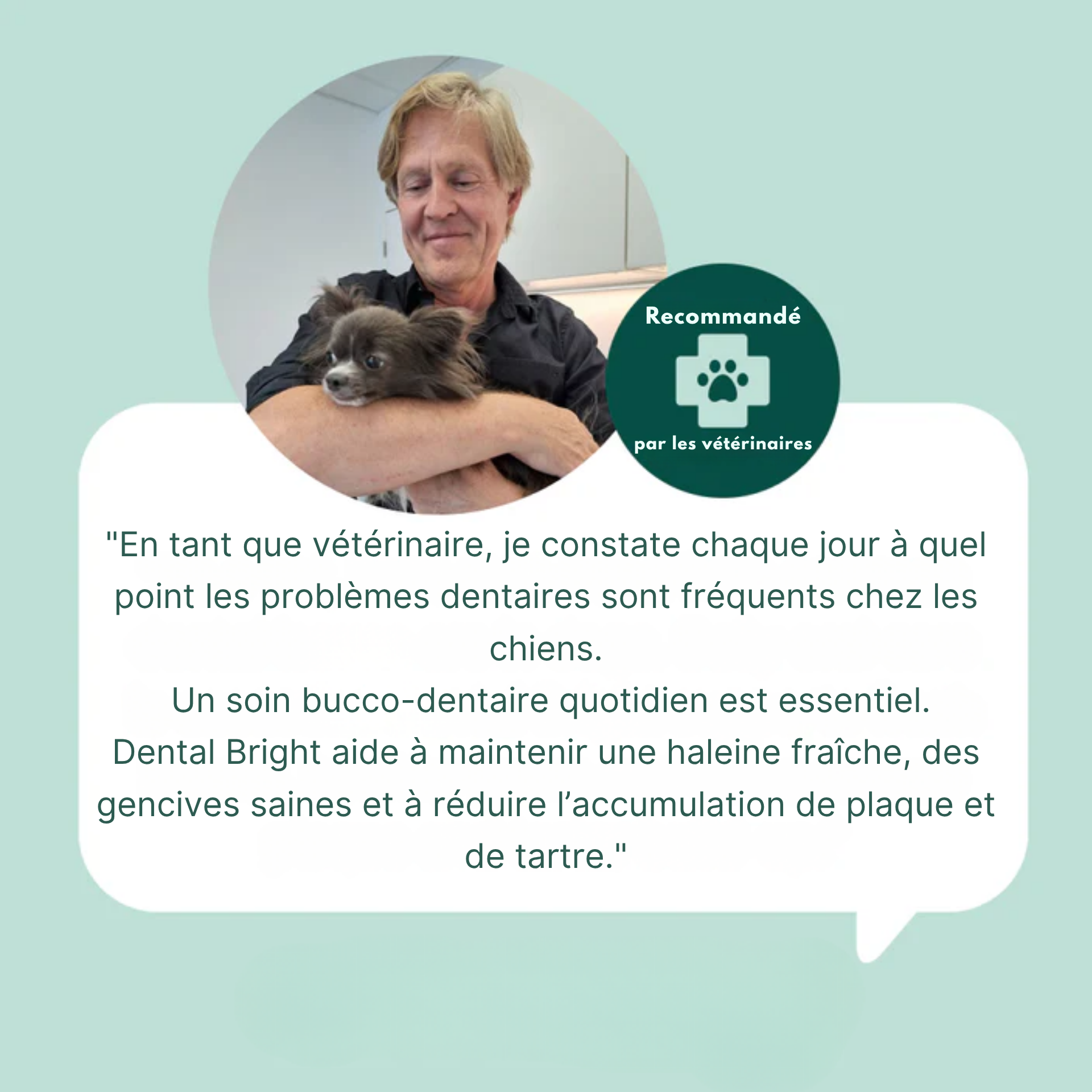 Dental Bright | 100 % naturel | 60 doses | 90 g