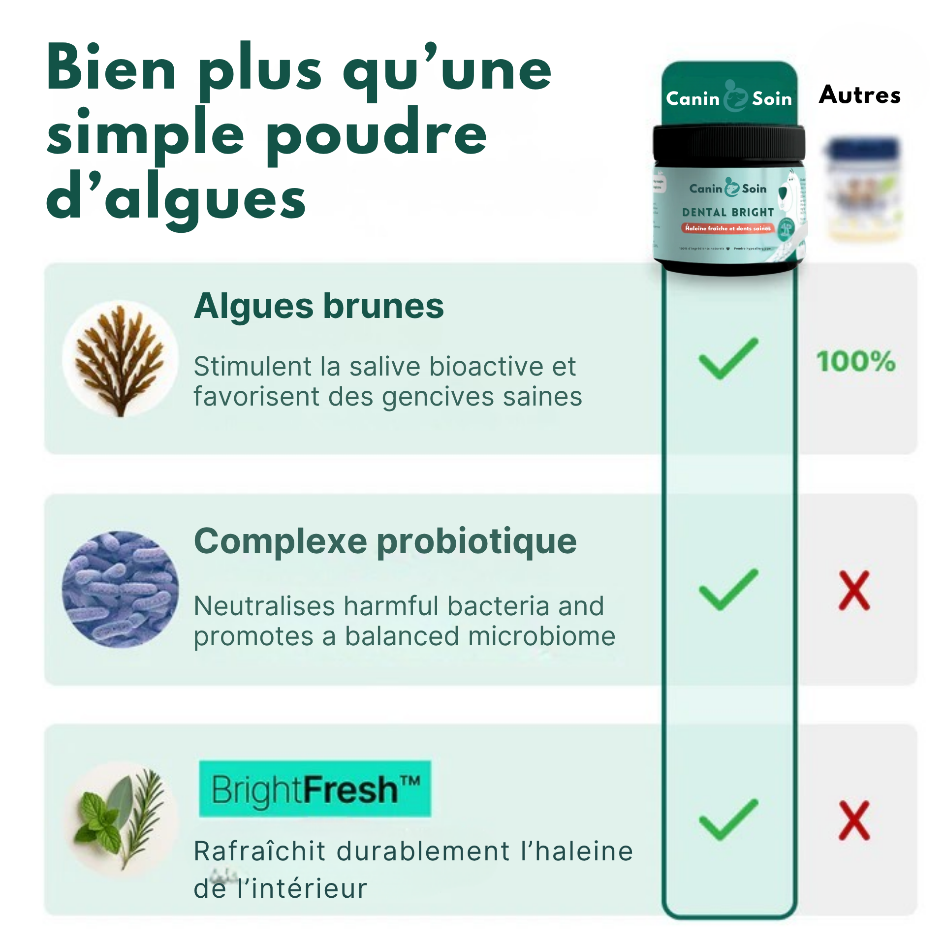 Dental Bright | 100 % naturel | 60 doses | 90 g