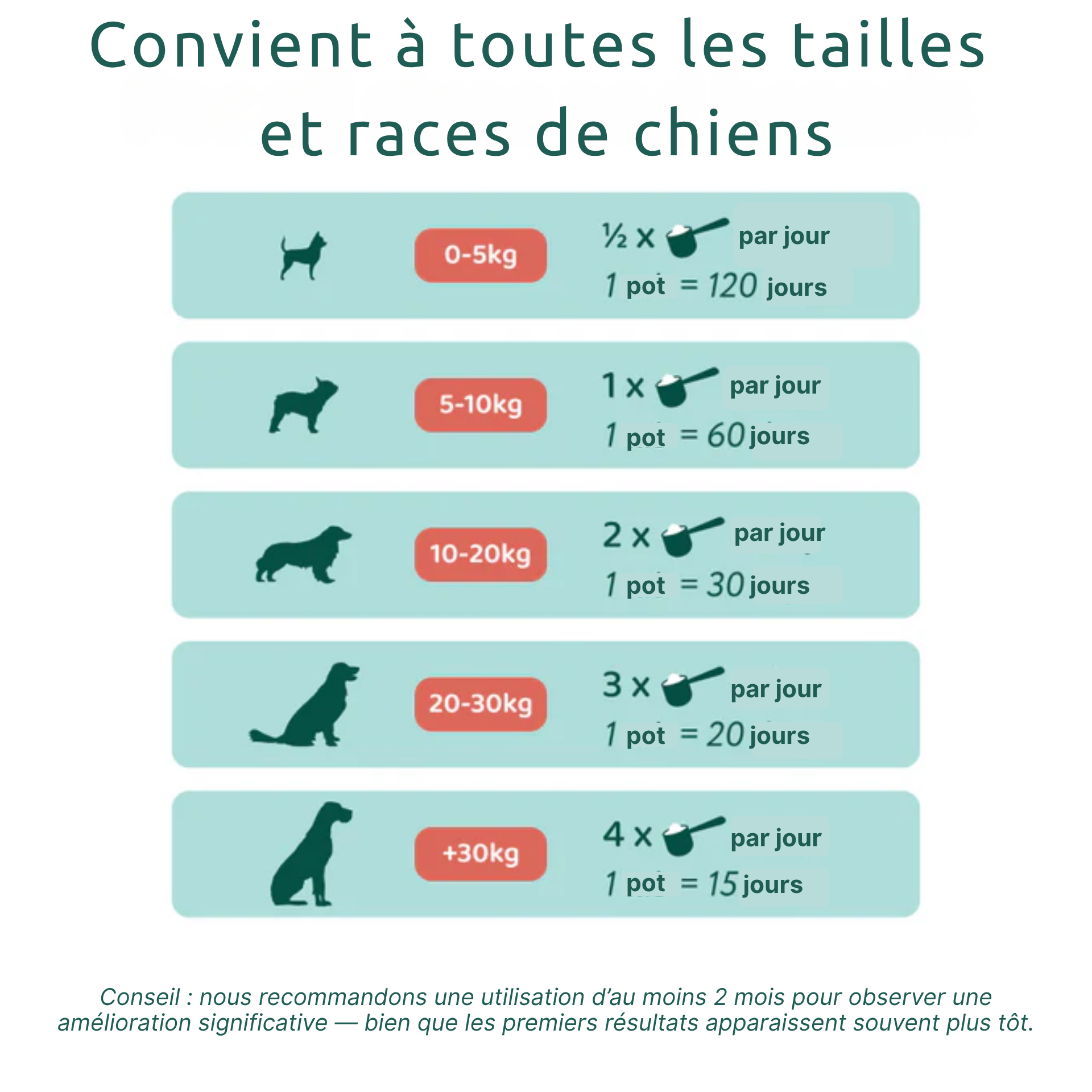 Dental Bright | 100 % naturel | 60 doses | 90 g