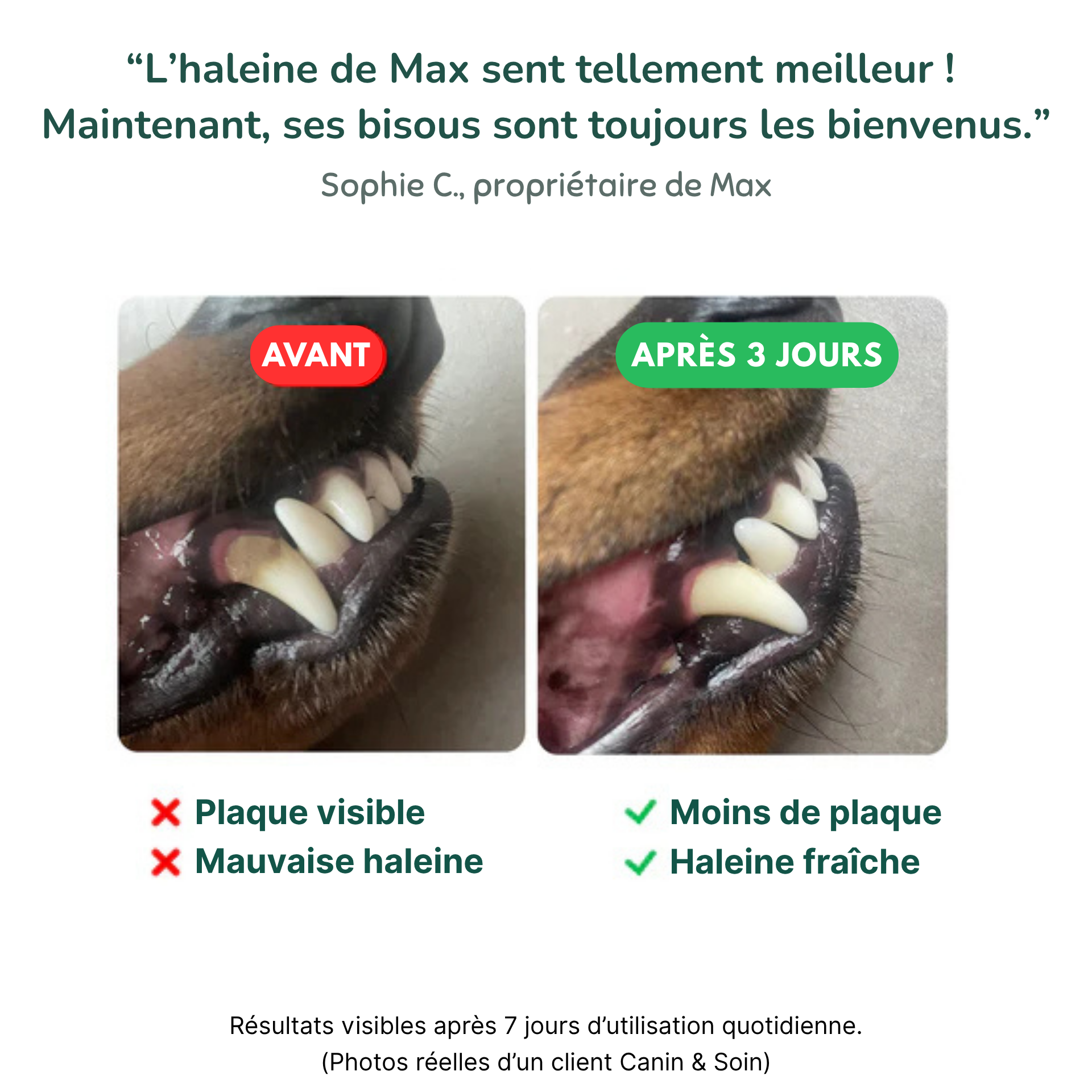 Dental Bright | 100 % naturel | 60 doses | 90 g